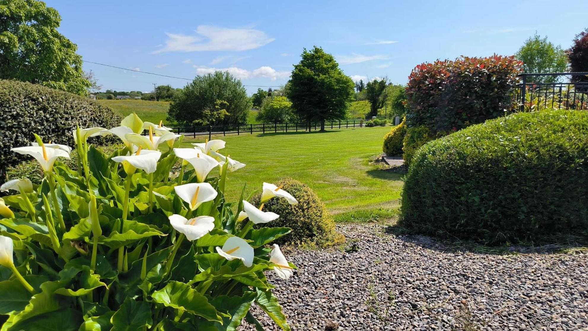 Swinford Country House ภายนอก รูปภาพ