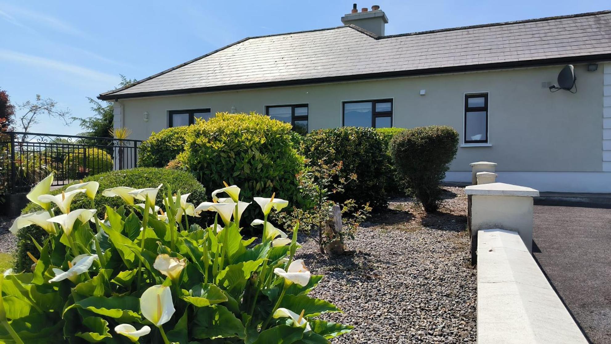 Swinford Country House ภายนอก รูปภาพ